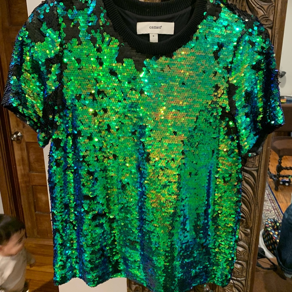 Cameo Peacock Sequin Top